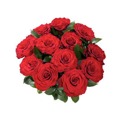"12 Red Roses Flower Bunch - Click here to View more details about this Product